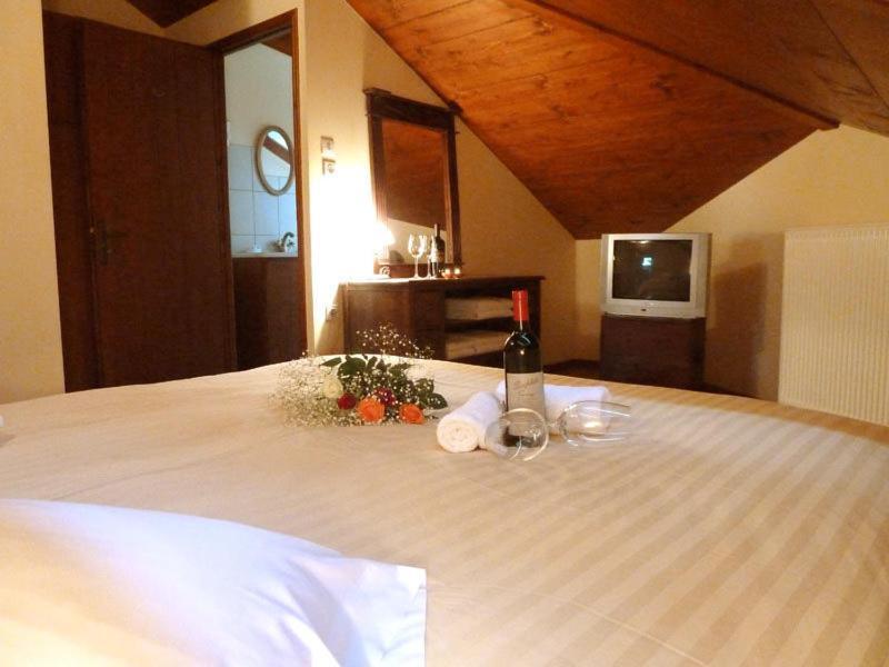 Mysaion Hotel Синикия-Меси-Трикала Номер фото