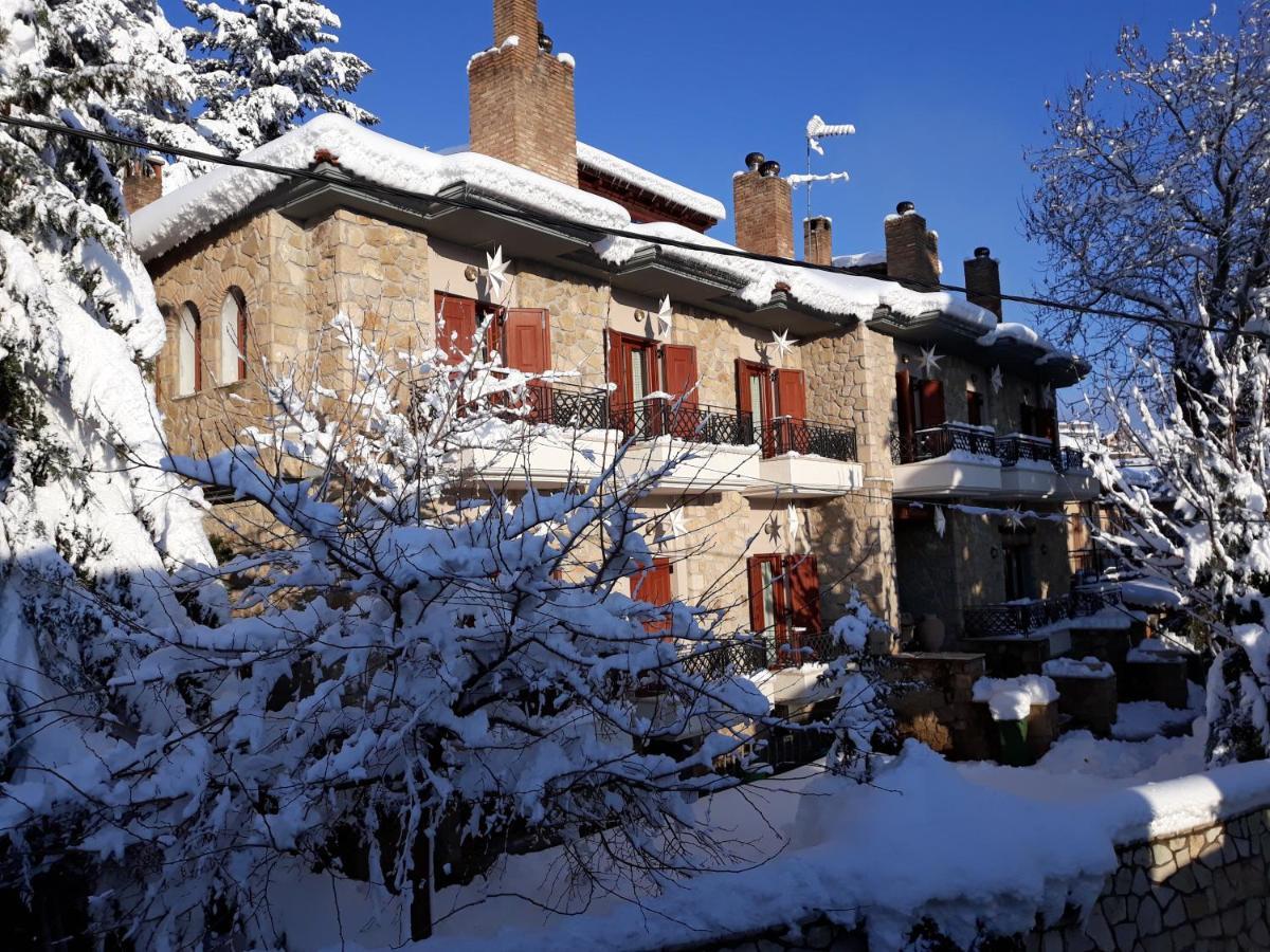 Mysaion Hotel Синикия-Меси-Трикала Экстерьер фото