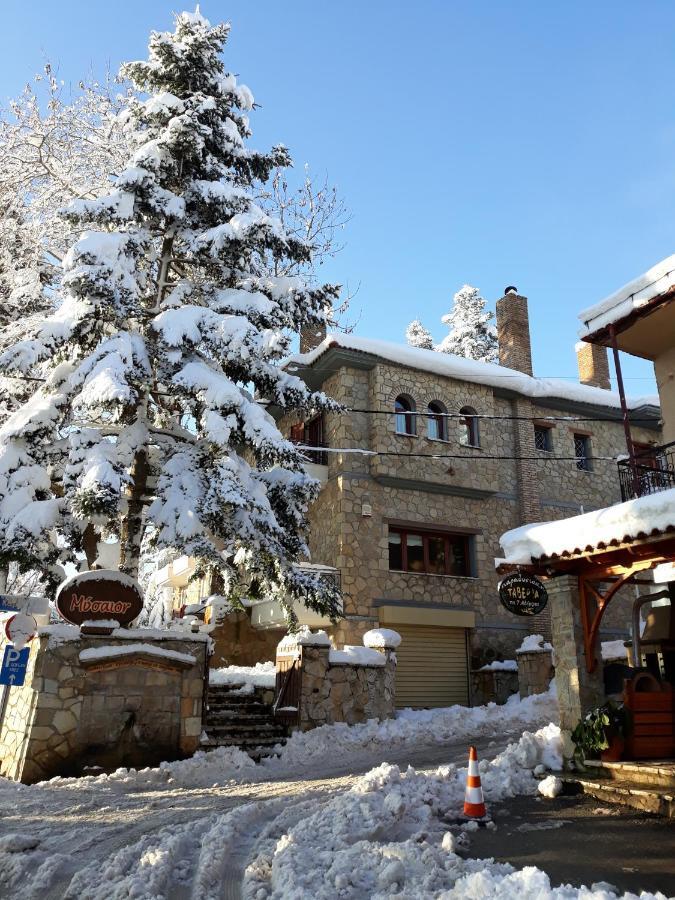 Mysaion Hotel Синикия-Меси-Трикала Экстерьер фото